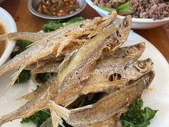 -嵩明马春能牛菜馆(七步场社区农贸市场店)