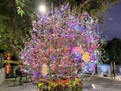 -盆满钵满·国家非遗传承(云台店)