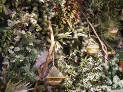 -潮粥荟·潮汕砂锅粥(朝阳大悦城店)