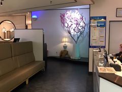 -周渝食惦·酸菜鱼精致川菜(横岗店)