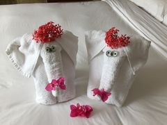 -三亚亚龙湾雅高铂尔曼别墅度假酒店