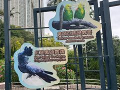 -九龙公园