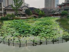 -龙潭水乡