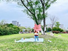 -南京市江宁方山