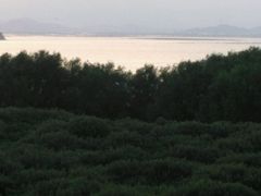 -盐洲岛