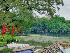 -荔湾湖公园