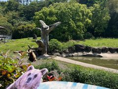 -宁波野生动物园