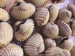 血蛤-天天渔港海鲜酒家(石浦玉泉路店)