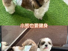 -UP健身私教馆(南山书城店)