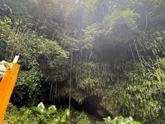-海口火山口国家地质公园