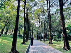 -广州珠江公园