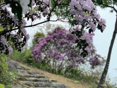 -庐山西海主景区