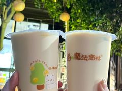 -猫的魔法密林(衣裳街店)