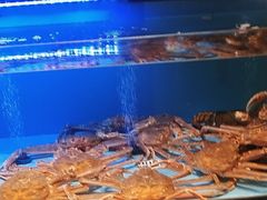 -阿伟海鲜楼·福建菜(延寿店)
