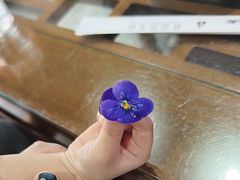-良师门滨海人家·海鲜·家常菜(滨海城店)