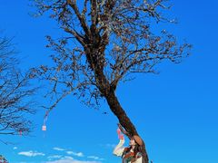 -硗碛藏寨·神木垒景区