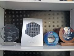-龙膜全球臻选店·汽车贴膜·隐形车衣(北京琪朗店)
