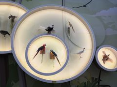 -陕西自然博物馆