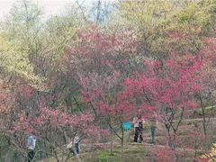 -世间香境·七溪地