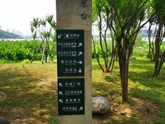-月湖风景区