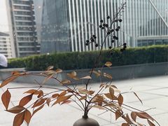 -凤凰湘语(浦东旗舰店)