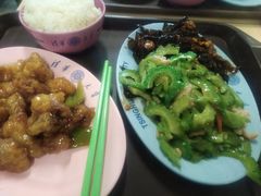 -清华大学-清芬园