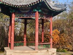 -北京凤凰岭
