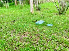 -福田红树林生态公园