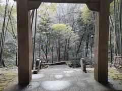 -杭州黄龙洞