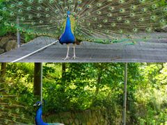 -福建鲤鱼洲酒店