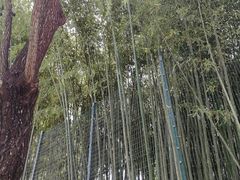 -西安市长乐公园