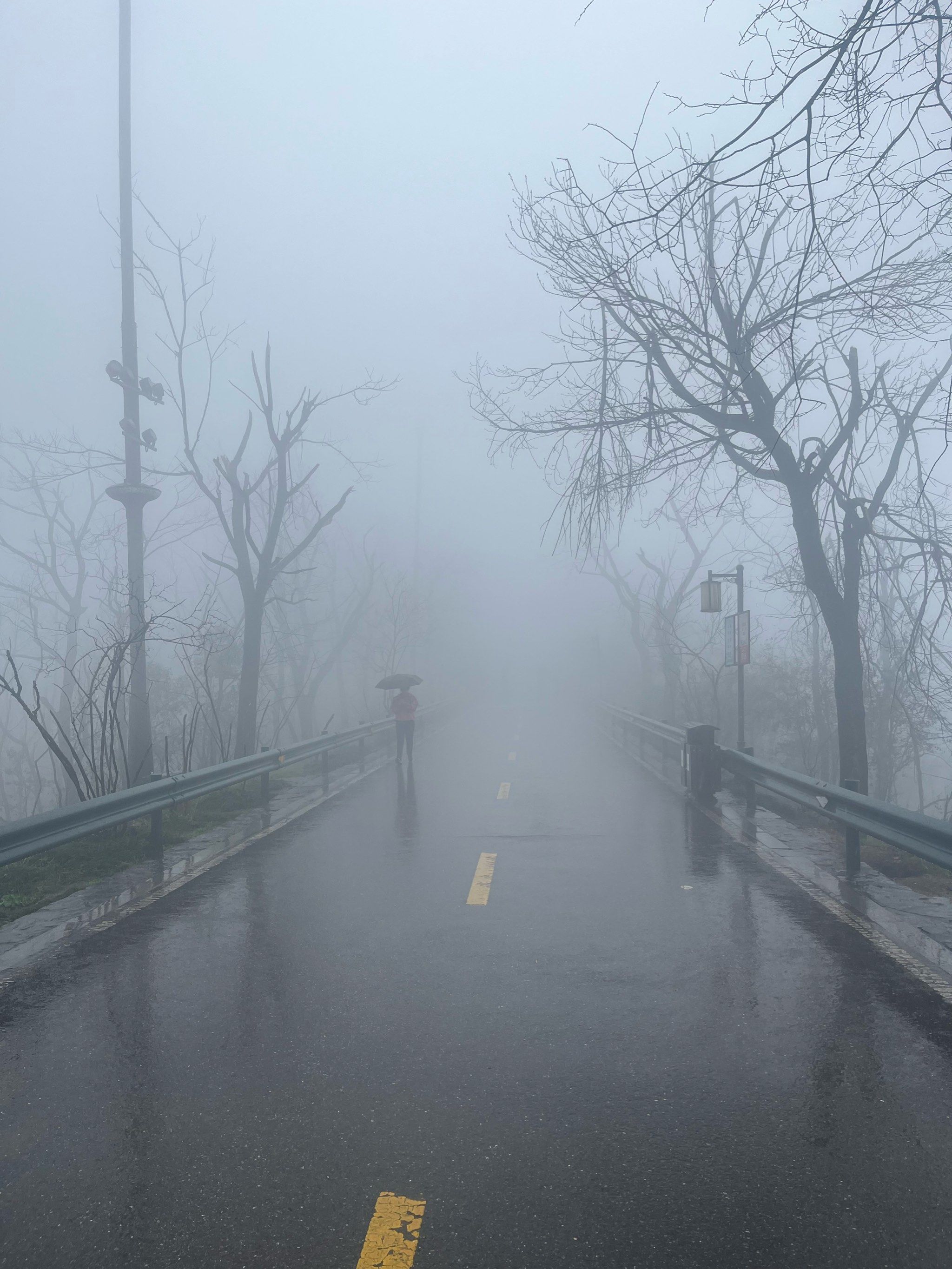 岳麓山迷雾