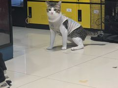 -谜盒子奇幻密室(南屏店)