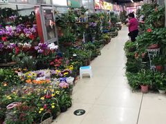 -无锡文化工艺品市场(槐古路店)