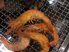 -肉甲韩国木炭烤肉(新壹街1店)