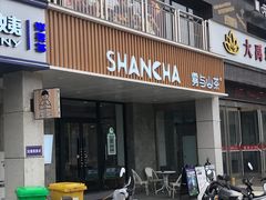 -雾与山茶(大禹城店)