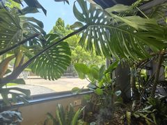 -J Create城市露营咖啡·简餐·宠物(上海动物园店)