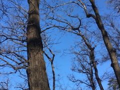 -终南山南五台景区