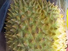 -双福水果批发市场