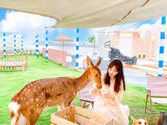 -Blue Concept Cafe&Farm·關於藍