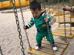 -北海金海湾红树林生态旅游区