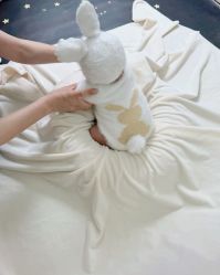 -DeerFriend童趣主题上门拍·到家·外拍摄影机构 (国贸店)