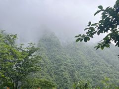 -龙窝子