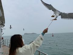 -海驴岛(荣成市)