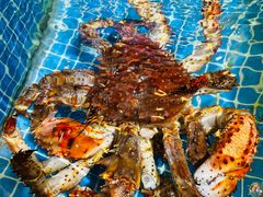 -海上食代(赣江新天地店)