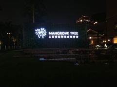 -三亚湾红树林度假世界(木棉酒店)