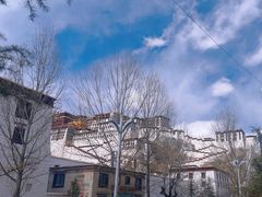 -布达拉宫
