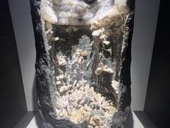 -重庆自然博物馆(新馆)