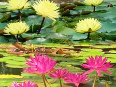 -国家植物园南园