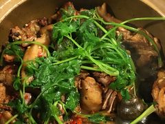 -食爺炭炉鸡煲·烧烤